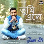 Pranav Biswas Songs MP3 Download